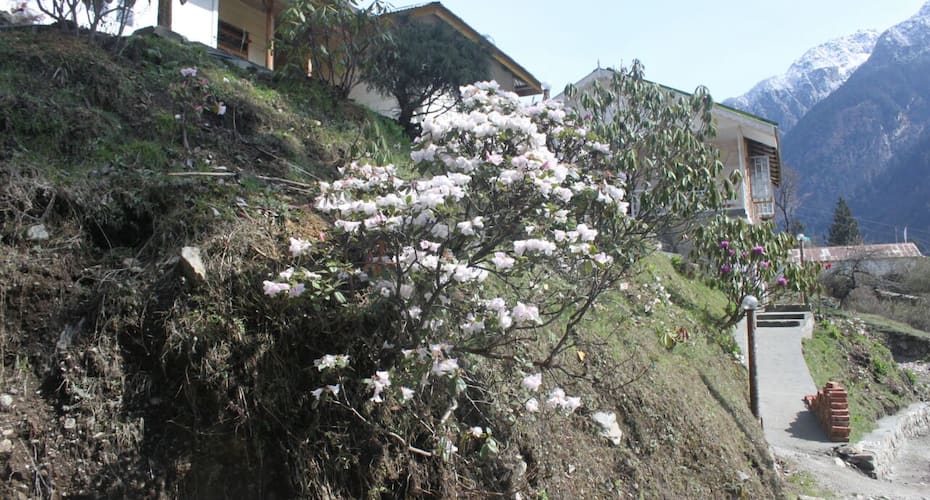 Be-Yul Alpine Resort, Lachung 3
